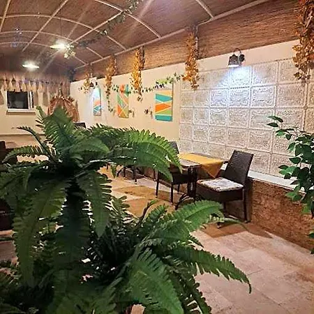 Ikarus كوشاداسيه